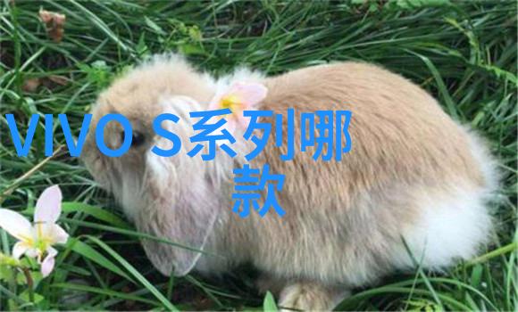 热处理对不锈钢影响深远如何进行正确热处理