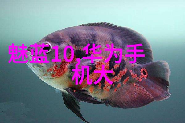 如何正确操作养殖场高压喷雾消毒机