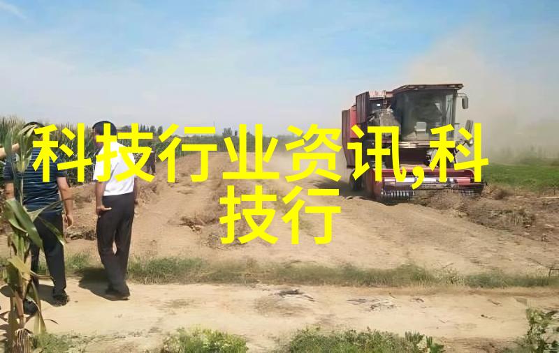 人工湿地火山岩填料生态修复与美化的双刃剑