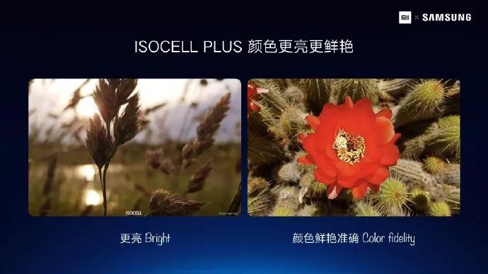 像素高的手机拍照好看吗_像素高一点的手机_像素高的手机/
