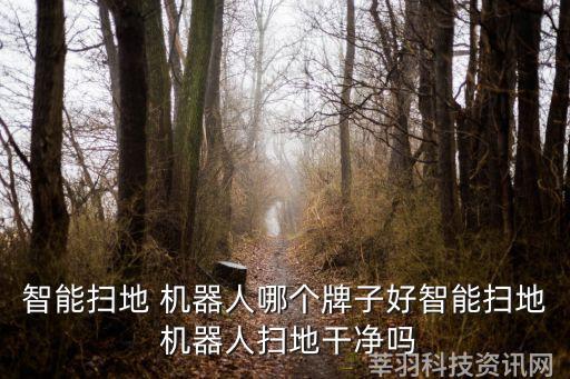 智能扫地 机器人哪个牌子好智能扫地 机器人扫地干净吗