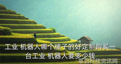 工业 机器人哪个牌子的好定制购买一台工业 机器人要多少钱